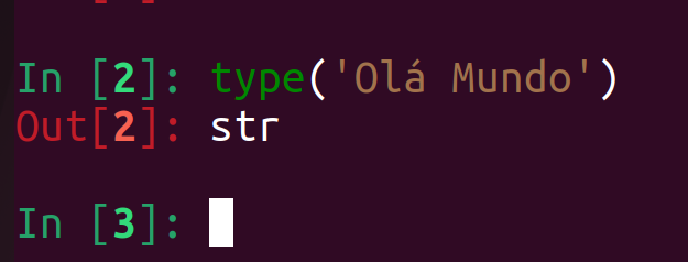 código python no terminal demonstrando uma checagem de tipo
