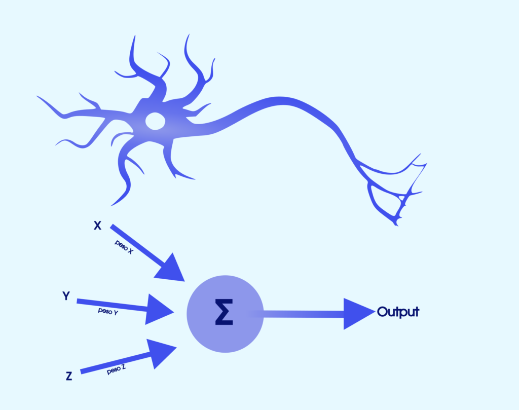 neurônio e algoritimo 