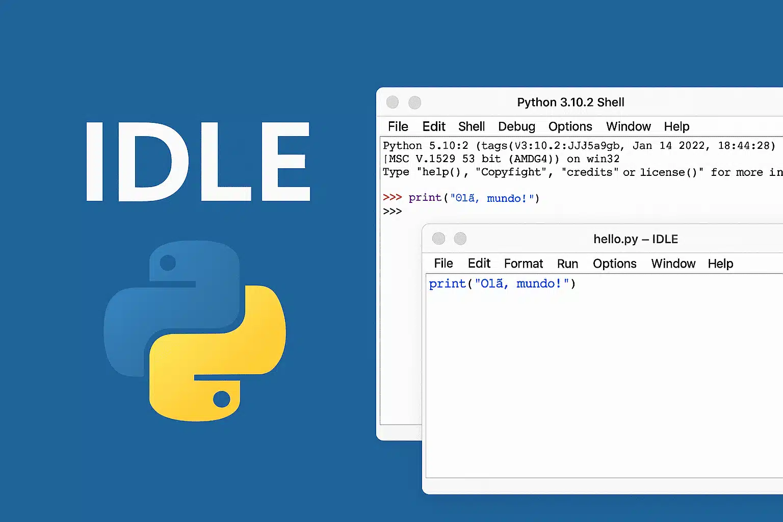 IDLE python